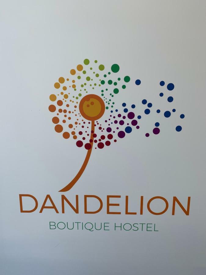Dandelion Hostel Zadar Luaran gambar